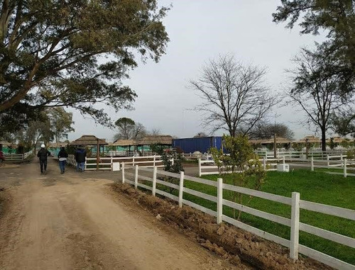 Imagen 7 de 21 de Terreno Lote En Venta Ubicado En General Rodríguez, G.b.a. Zona Oeste