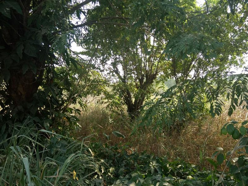 Vendo Terreno 15,000 M² Juana Moza Tuxpan Veracruz