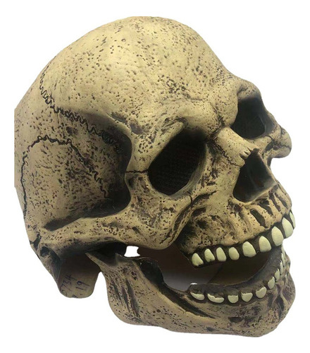 Máscara De Calavera Ósea Cabeza Completa Aspecto Realista