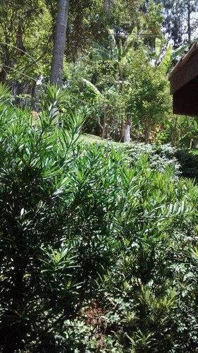 Chácara Residencial À Venda, Pedreira, Arujá - Ch0048. - Ch0048