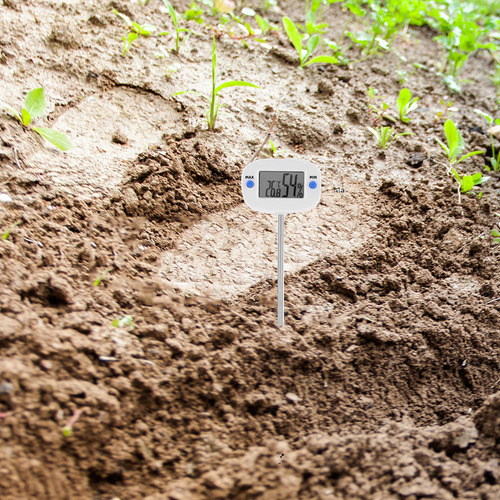 Termómetro De Suelo De Acero Inoxidable, 1 Unidad, Higrómetr