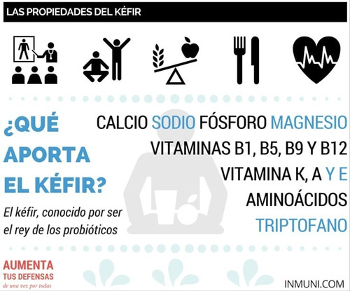 Imagen 4 de 4 de Kefir (hongos Bulgaros Para Hacer Yogurt Casero)