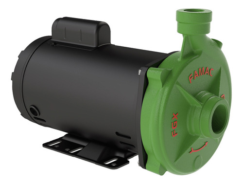 Motobomba Centrífuga Rotor Inox Fgx-300 3cv Motor Weg Famac Cor Preto-verde Fase Elétrica Monofásica Frequência 60hz 110v/220v Monofásica