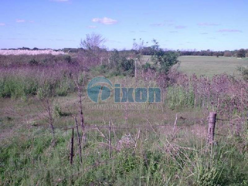 Imagen 1 de 7 de Belén De Escobar - Lote Venta Usd 800.000