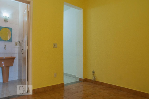 Apartamento Para Aluguel - Santa Teresa, 1 Quarto, 33 - 892992424