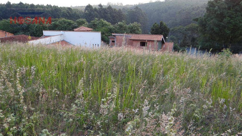 Imagem 19 de 26 de Terreno Residencial À Venda, Região Central, Caieiras. - Te0055