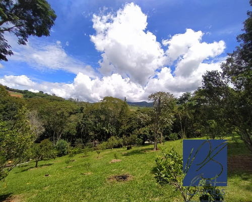 Imagem 23 de 30 de Sitio - St00015 - 69272278