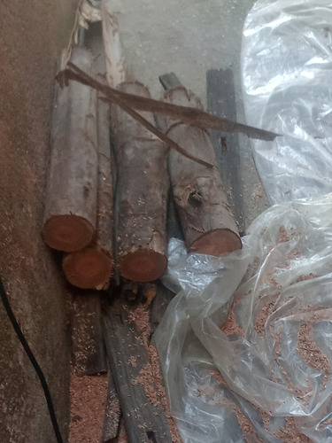 Lenha De Eucalipto 10 .