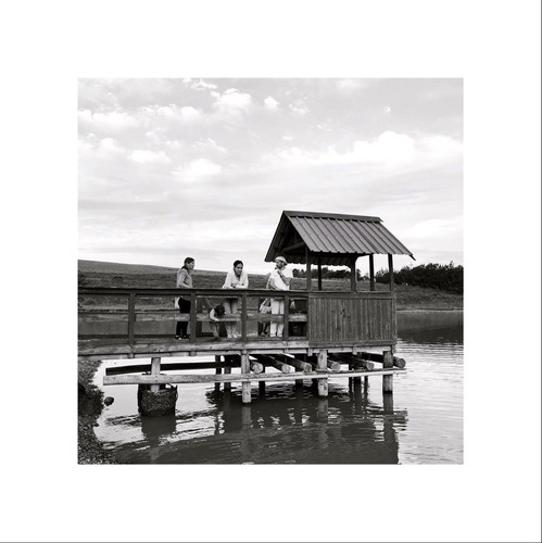 Espectacular Chacra Con Lago Y 4 Cabañas Glamping
