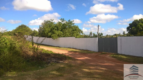 Imagem 25 de 30 de Granja A Venda Em Parnamirim