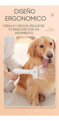 Yy . Secadora De Pelo For Mascotas Perro Cepillo Portatil 2