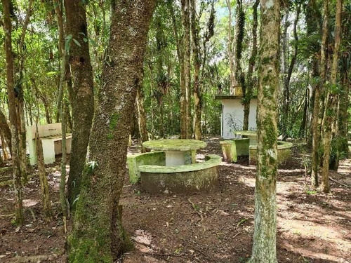 Cód 3476 - 6 Alqueires Pé No Asfalto!! - 3476
