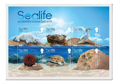 2020 Fauna- Vida Marina- Alderney (bloque) Mint 