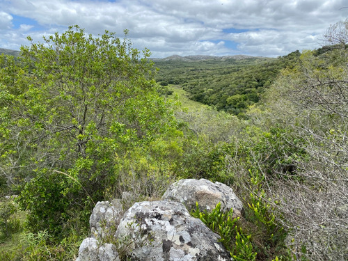 Chacra En Venta Sierras De Aiguá