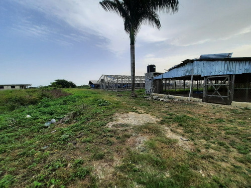 Vendo 30 Tarea En Juan Dolio, Para Cualquier Tipo De Proyec