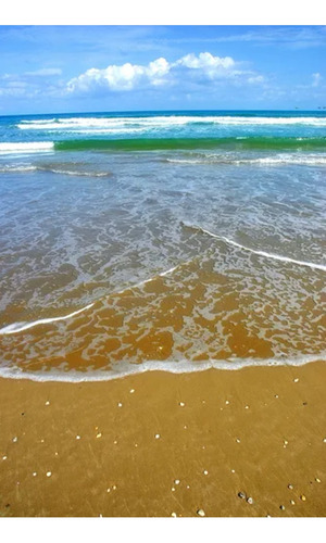 ¡terreno En Venta A Pasos De La Playa! Paraíso Tortugas Barra De Tordo, Tamaulipas 4,500 M² Perfecto Para Tu Casa De Descanso O Inversión