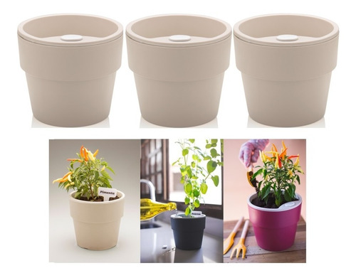 Kit Plantar 3 Vaso Autoirrigável Planta Flor Tempero Jardim