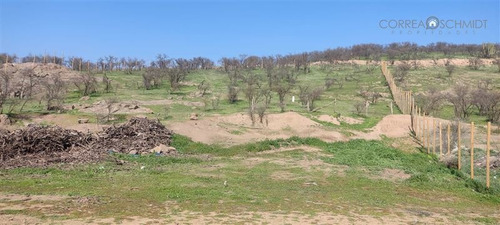 Imagen 10 de 30 de Sitio En Venta En Rancagua