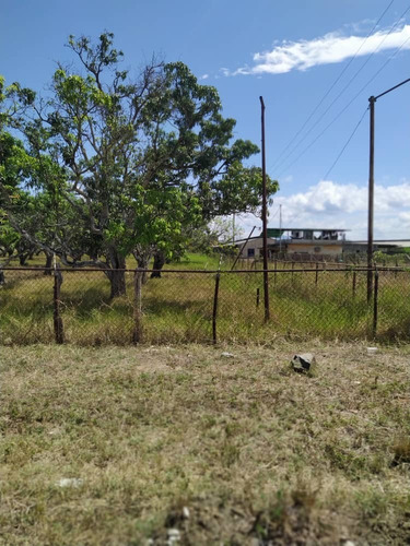 Imagen 20 de 20 de Granja De Gallinas Ponedoras Valencia Edo Carabobo