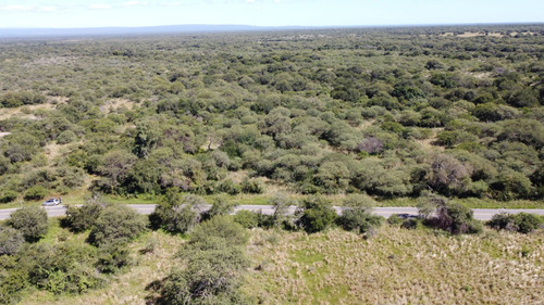 Venta Campo Luyaba