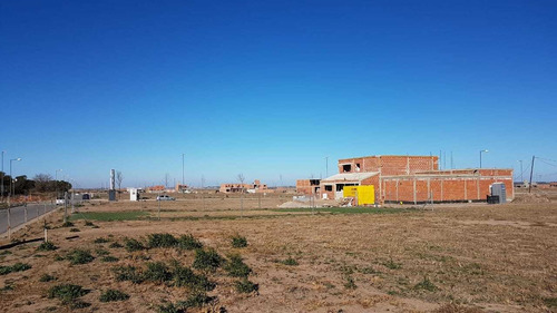 Imagen 5 de 9 de Docta- Primera Etapa Malagueño 250m2