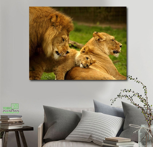 Cuadros De Familia De Leones