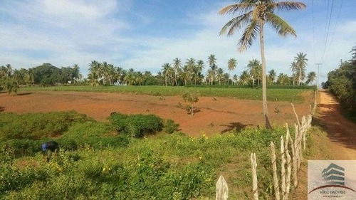 Granja A Venda São José De Pipibú