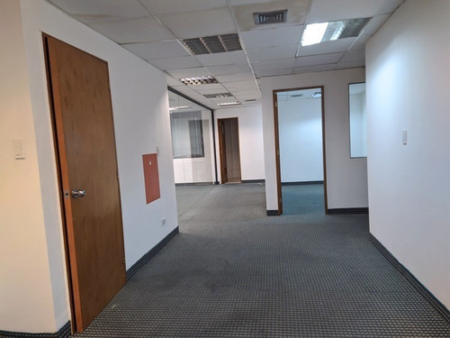 Imagen 2 de 20 de Alquiler Oficina 460m2 Altamira 6074