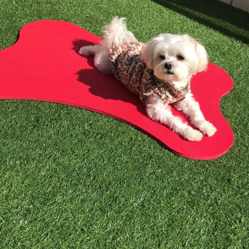 Imagem 3 de 3 de Tapete Colchonete Pet Em Eva 80cmx56cmx10mm Cães Esteira