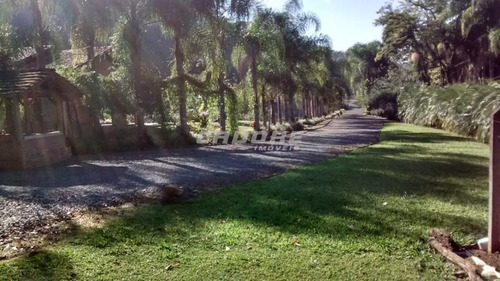 Imagem 7 de 20 de Excelente Terreno Para Loteamento No Bairro Itoupava Central, Localizado Em Zr4 Com As Seguintes Características: | Cadore Imóveis - 3050595v