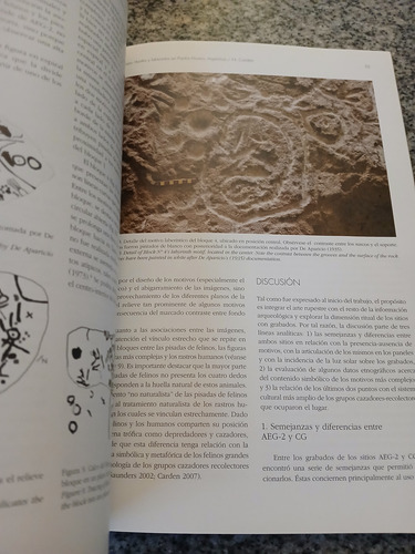 Boletín Museo Chileno Arte Precolombino 2007 (Usado)