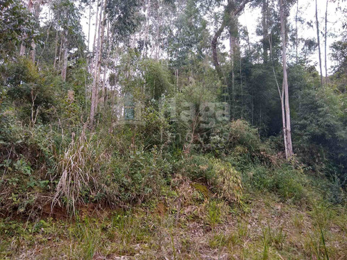Sítio A Venda Em Rio Dos Cedros/sc - 1742