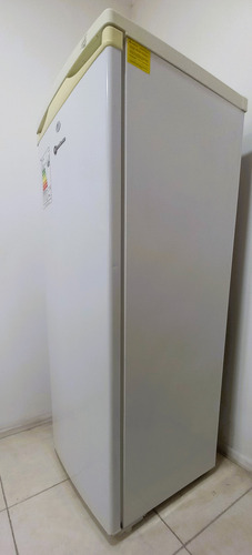 Freezer Vertical Mademsa Mfv-545b 165 L Frío Directo (Usado)