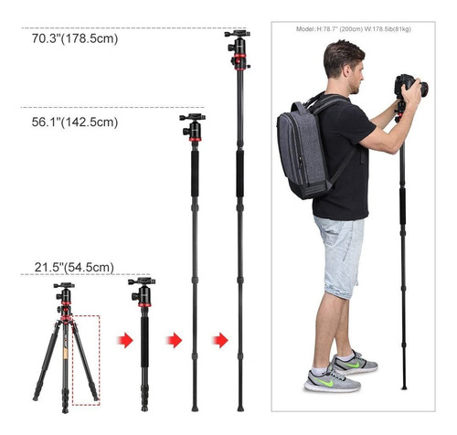 Trípode K&f Concept, Para Cámara Dslr, Profesional