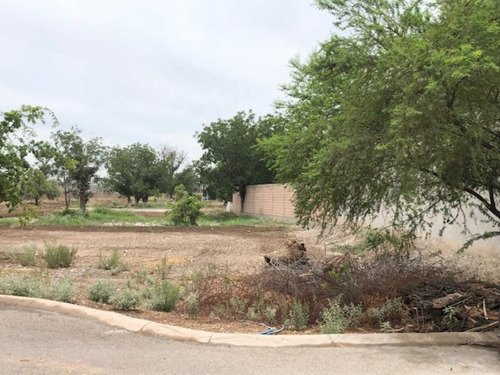 Terreno En Venta En Las Trojes, Torreón, Coahuila De Zaragoza