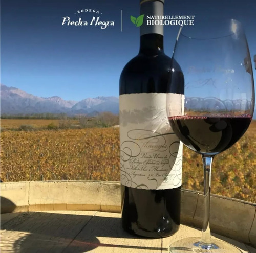 Vino Chacayes. Cosecha 2006. Bodega Piedra Negra. 750 Ml