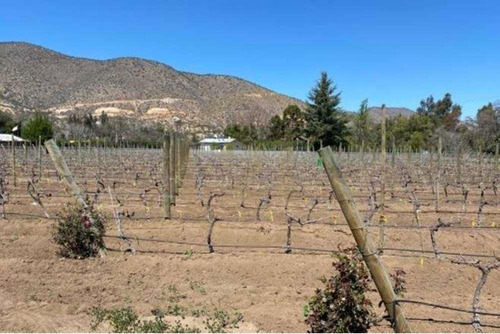 Oportunidad Venta De Campo, Viñedos - Curacaví