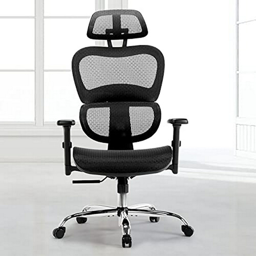 Silla Ejecutiva Ergonómica Con Soporte Lumbar Y Malla Transp