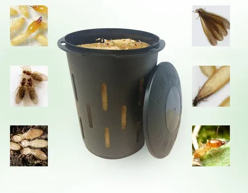 comprar Caja De Cebo Para Termitas Subterranea Monitoreo Y Deteccion