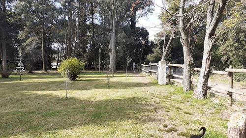 Campo C/ Caballerizas Y Casa Colonial - Villa Elisa