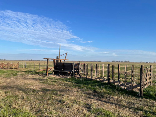 18 Hectareas En San Miguel Del Monte