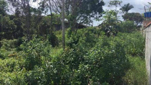 Terreno Lado Praia De 312 Metros No Bairro São João 4845 Npc