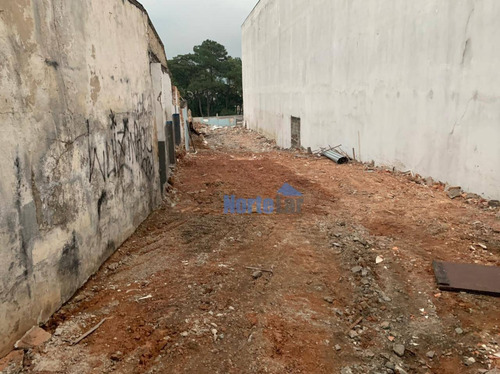 Imagem 1 de 3 de Terreno Em Ótima Localização Na Freguesia Do Ó - Te0194