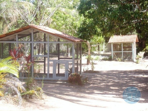 Imagem 5 de 10 de Cod.10414 - Sitio Em Ceara Mirim - V-10414