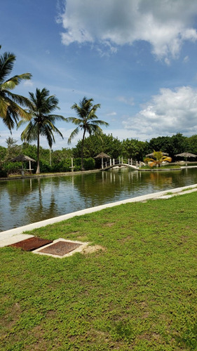 Imagen 5 de 20 de Apartamento En Alquiler Tucacas Caribbean Suites