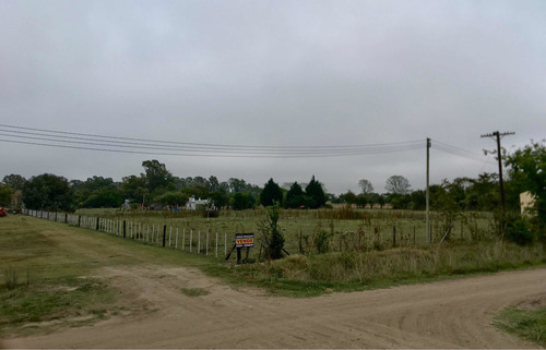 Venta Lote De Quinta Tapalque
