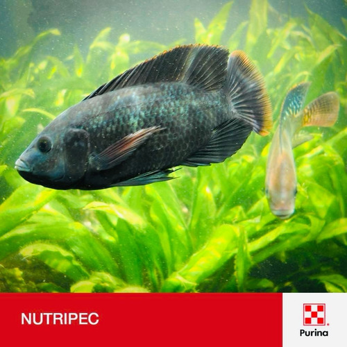 Alimento P/peces (varios) Tortugas, Nutripec Purina 25 Kilos