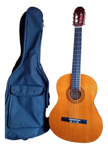 Guitarra Maxtone Modelo Cgc 390n 
