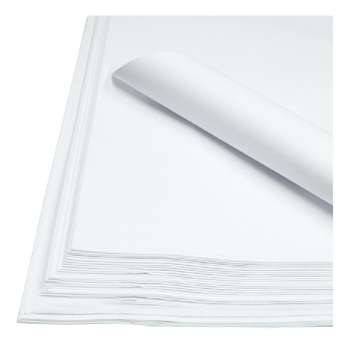 Papelografo Blanco 100 Ciento Oficinas