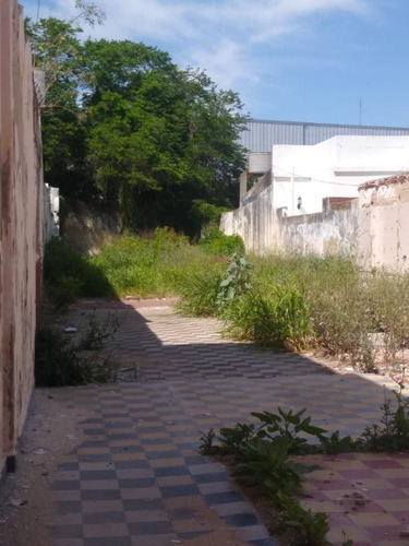 Imagen 2 de 3 de Gran Terreno En Venta
